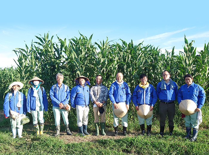 Towards the Future / About Sweet Sorghum