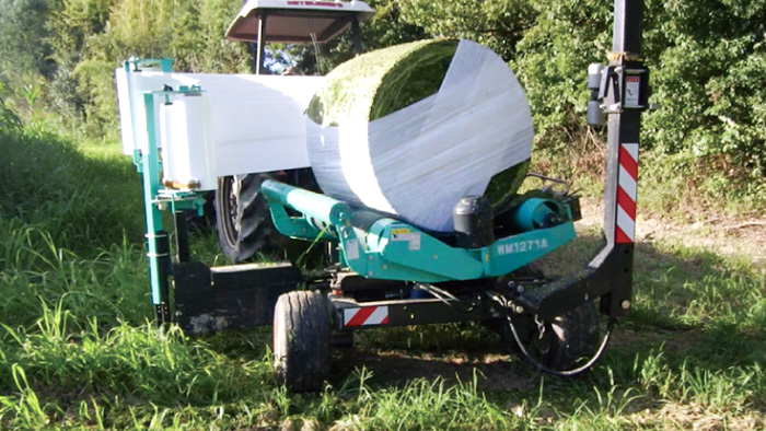Towards the Future / About Sweet Sorghum