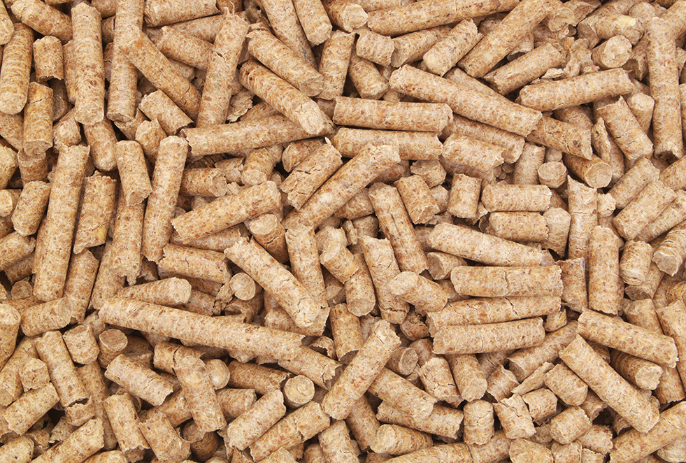 high-quality biomass solid fuel