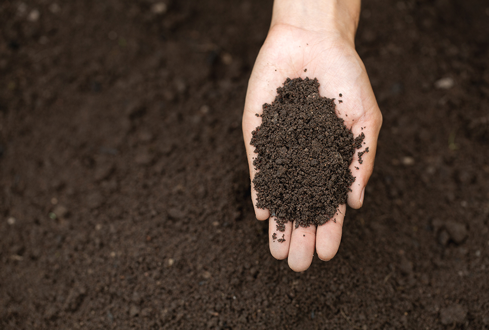 high-quality compost