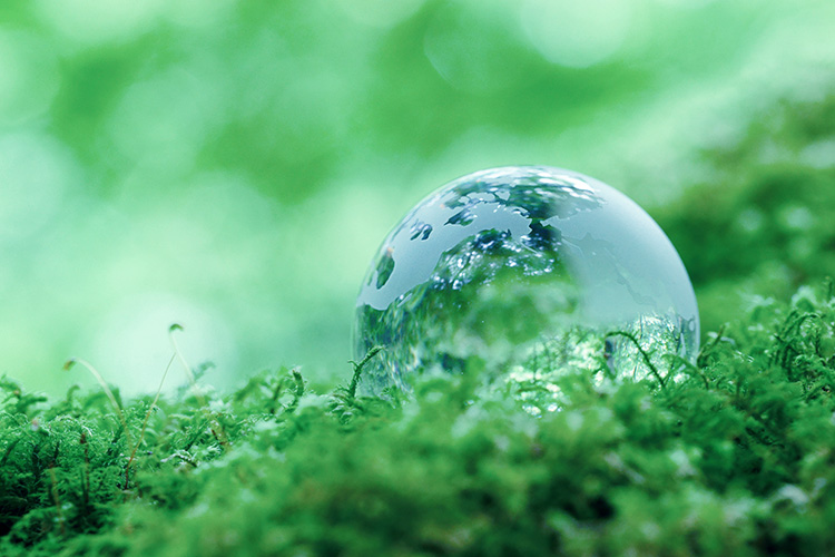 Sustainability