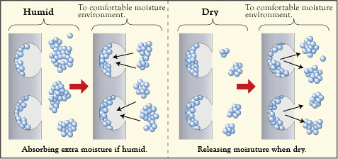 Mechanism of humidity conditioning