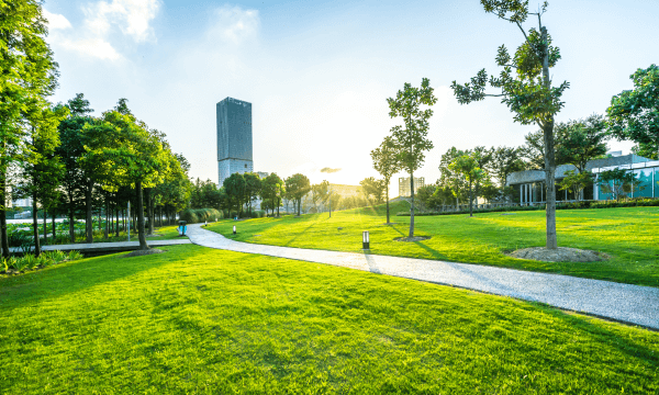 環境への取り組み